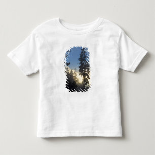 スタンレーパーク、森、海霧が立ち込める トドラーTシャツ