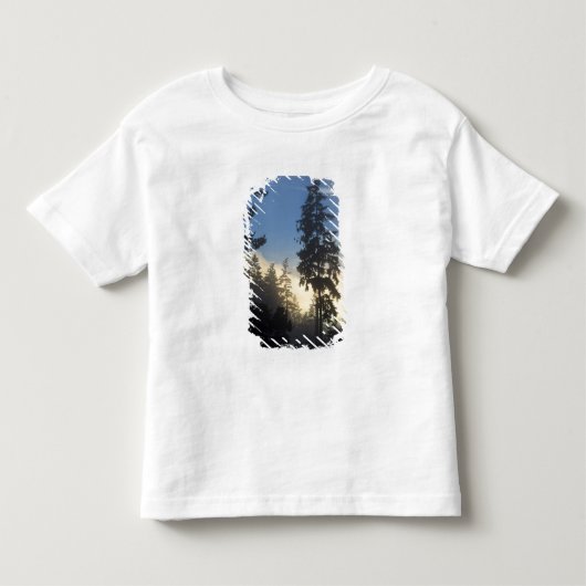 スタンレーパーク、森、海霧が立ち込める トドラーTシャツ (正面)