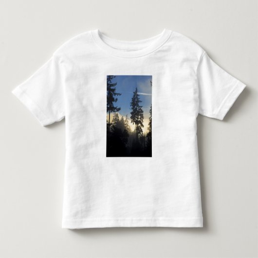 スタンレーパーク、森、海霧が立ち込める トドラーTシャツ (正面)
