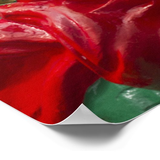 スタンレー中国のパークのドラゴンボート船首長 ポスター (角)