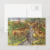 スタン狩り、「Brevis Narratio」より ポストカード (正面/裏面)