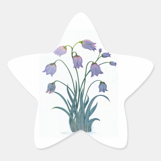 スターかわいらしステッカーの花 星シール (正面)