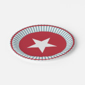 スターとストライプ7月4日PartyPaperプレート ペーパープレート (アングル)