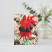 スターのデザートエンドウの花 ポストカード (スタンド正面)