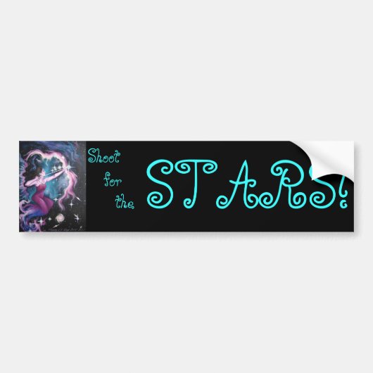 スターアーチャーバンパーシール バンパーステッカー (正面)