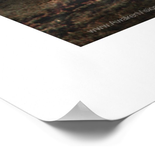 スターウルフ ポスター (角)