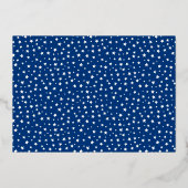 スターエレガントズキンセアニラ15thバースデーパーティー 箔招待状 (裏面)