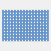 スターオブデイヴィッドフローラハヌッカセット ラッピングペーパーシート (正面3)