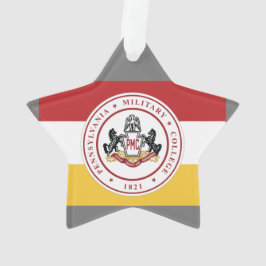 *スターオーナメント（PMCフラグ付き） オーナメント