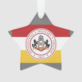 *スターオーナメント（PMCフラグ付き） オーナメント (正面)