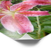 スターガザーリリーズガーデンフローラ フォトプリント (角)