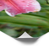 スターガザーリリーズガーデンフローラ ポスター (コーナー)