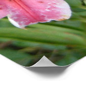 スターガザーリリーズガーデンフローラ ポスター (角)