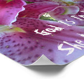 スターガザーリリー神は彼女の中に彼女は秋しない ポスター (角)