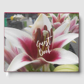 スターガザー ゲストブック (正面)