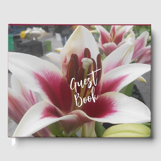 スターガザー ゲストブック (正面)