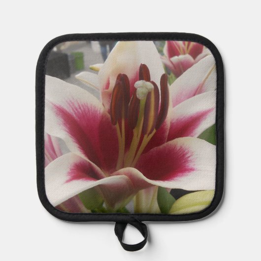 スターガザー 鍋敷き (正面)