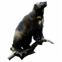 スターガジンウルベリンフォトスカルプチャー