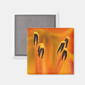 スターガーザースタメン マグネット (正面/裏面)