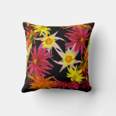 スターガーザーダーリアス クッション (裏面)