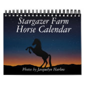 スターガーザーファーム馬カレンダー カレンダー (カバー)