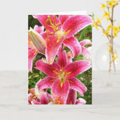 スターガーザーブーケ カード (黄色い花)