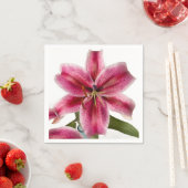 スターガーザーリリカクテルナプキン スタンダードカクテルナプキン (インサイチュ)