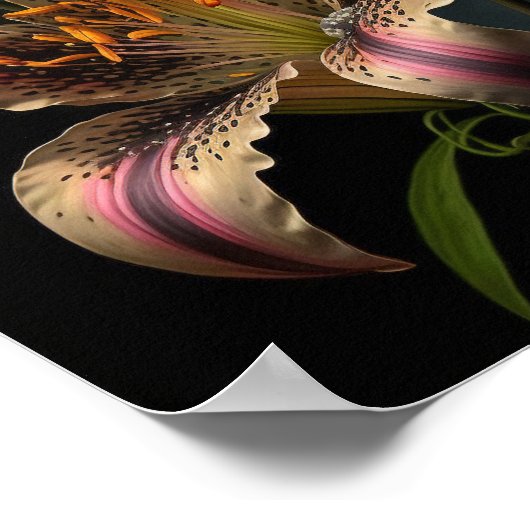 スターガーザーリリーフラワーアートプリントポスター ポスター (角)