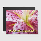 スターガーザーリリーブライトマゼンタフローラ (正面/裏面)