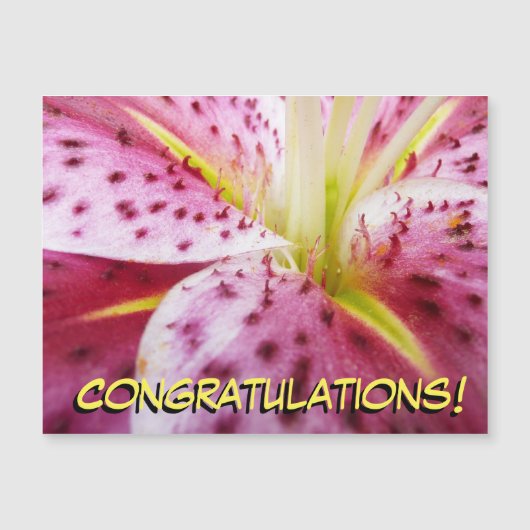 スターガーザーリリーブライトマゼンタフローラ (正面)