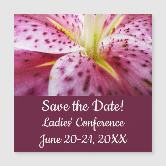 スターガーザーリリーブライトマゼンタフローラ (正面)