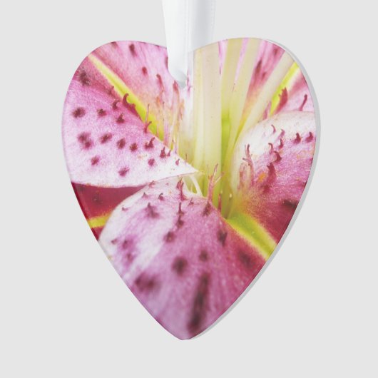 スターガーザーリリーブライトマゼンタフローラ オーナメント (正面)