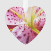スターガーザーリリーブライトマゼンタフローラ オーナメント (正面)