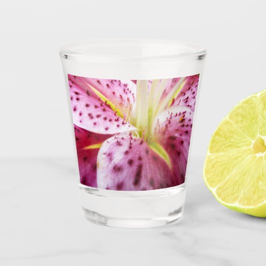 スターガーザーリリーブライトマゼンタフローラ ショットグラス (正面)