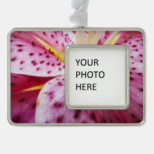 スターガーザーリリーブライトマゼンタフローラ シルバープレートフレームオーナメント (正面)
