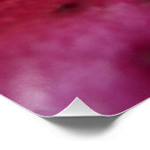 スターガーザーリリーブライトマゼンタフローラ ポスター (コーナー)