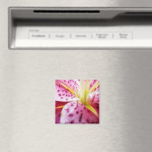 スターガーザーリリーブライトマゼンタフローラ マグネット (インサイチュ (食洗機))