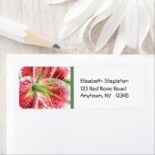 スターガーザーリリー住所 シール (インサイチュ)