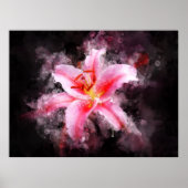 スターガーザーリリー花の水色 – bb 01 ポスター (正面)