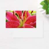 スターガーザーリリー (デスク)