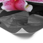 スターガーザーリリー ポスター (角)