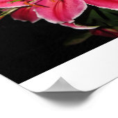 スターガーザーリリー ポスター (角)