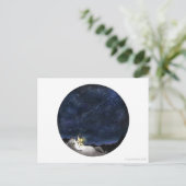 スターガーザー猫はがき ポストカード (スタンド正面)