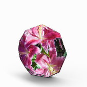 スターガーゼリリー フォトブロック (右)