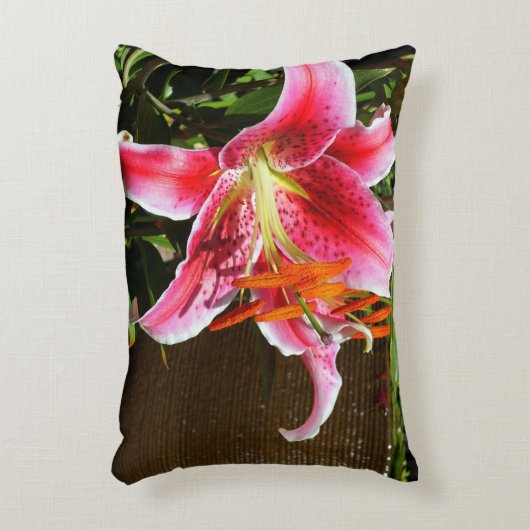 スターガーゼルリリー写真 アクセントクッション (正面(垂直))
