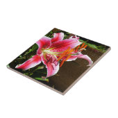 スターガーゼルリリー写真 タイル (側面)