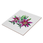 スターガーゼルリリー家族 タイル (側面)