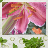 スターガー キッチンタオル (折り畳み)