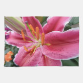 スターガー キッチンタオル (横)