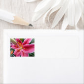 スターガー ラベル (インサイチュ)